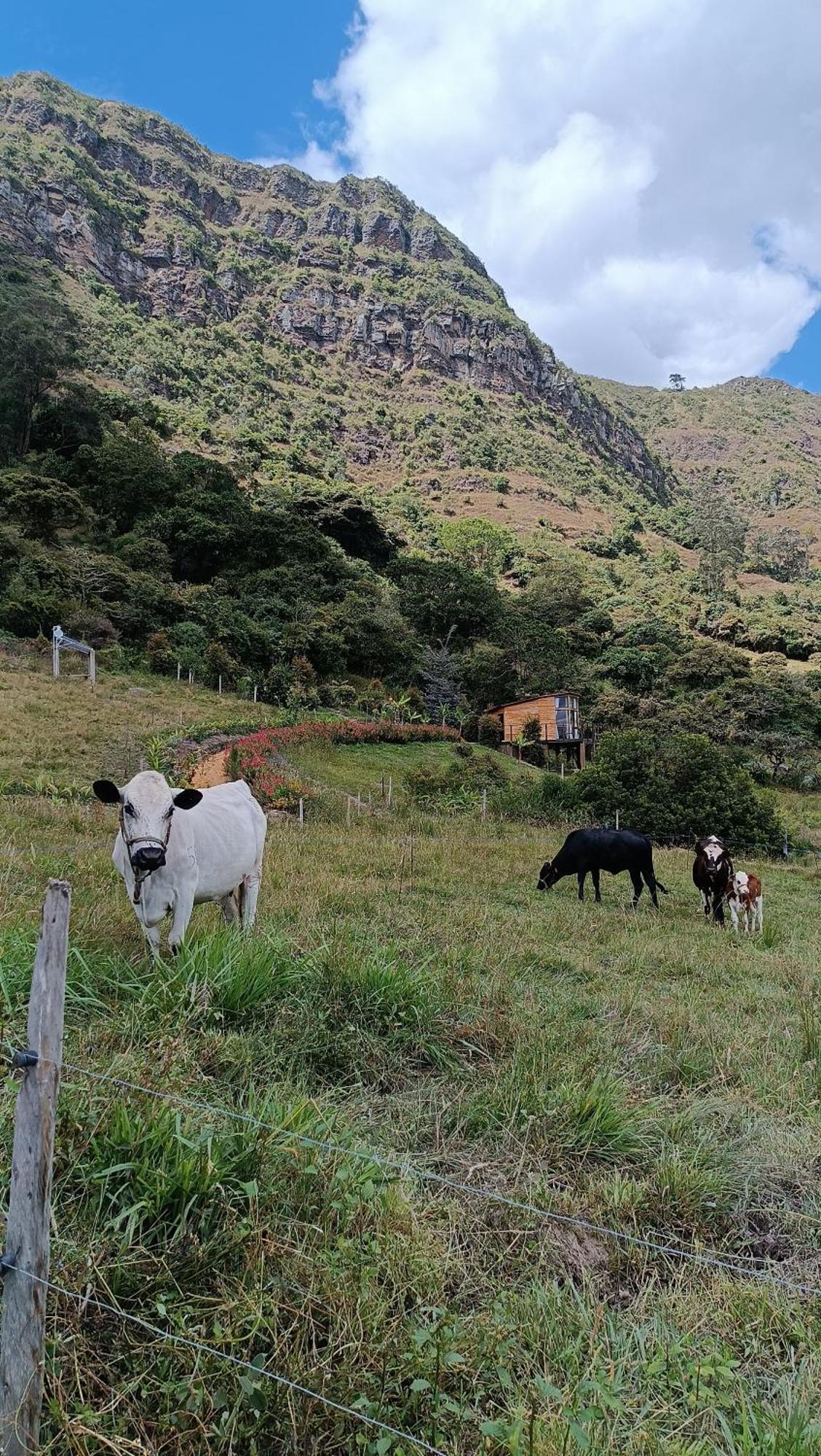 Al Aire Libre En Cundinamarca - Tiny House - Glamping Caelum Chalet Machetá