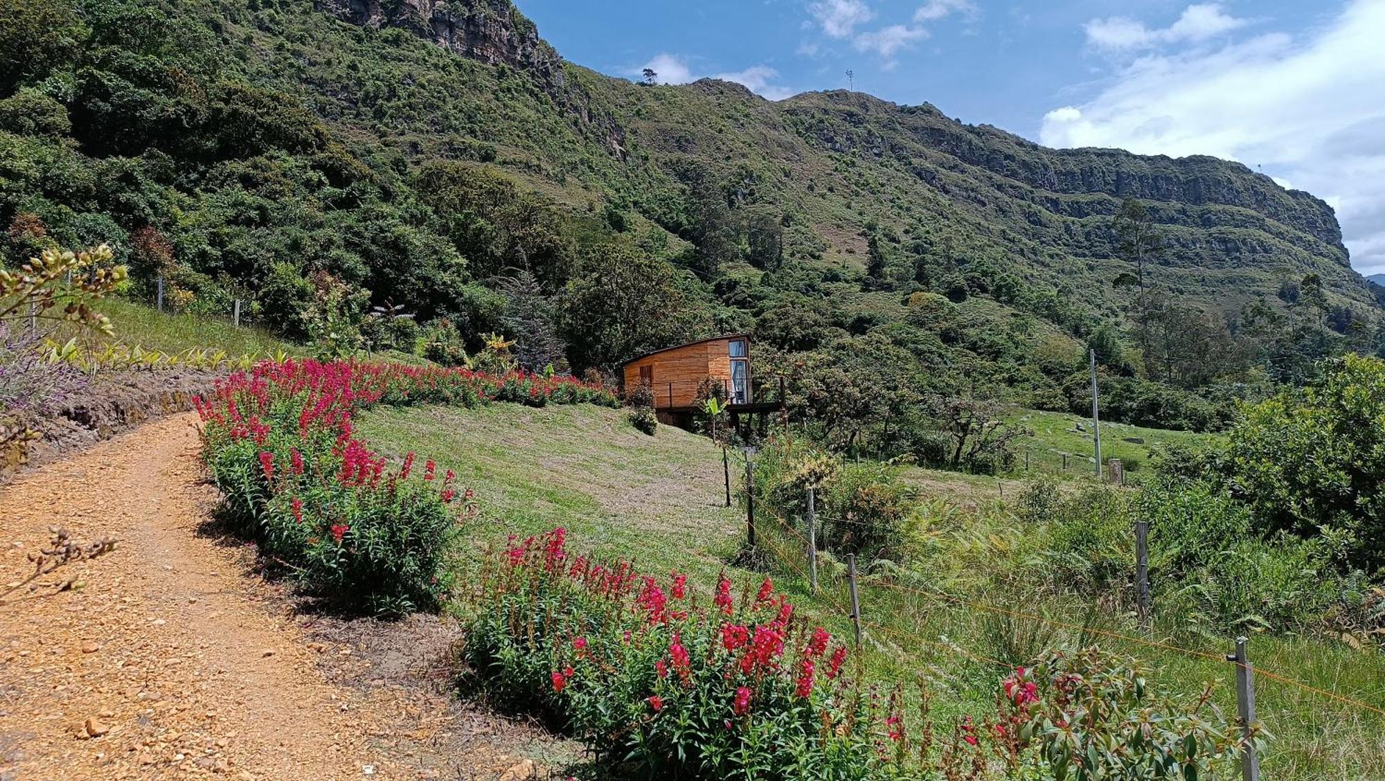 Al Aire Libre En Cundinamarca - Tiny House - Glamping Caelum Chalet *