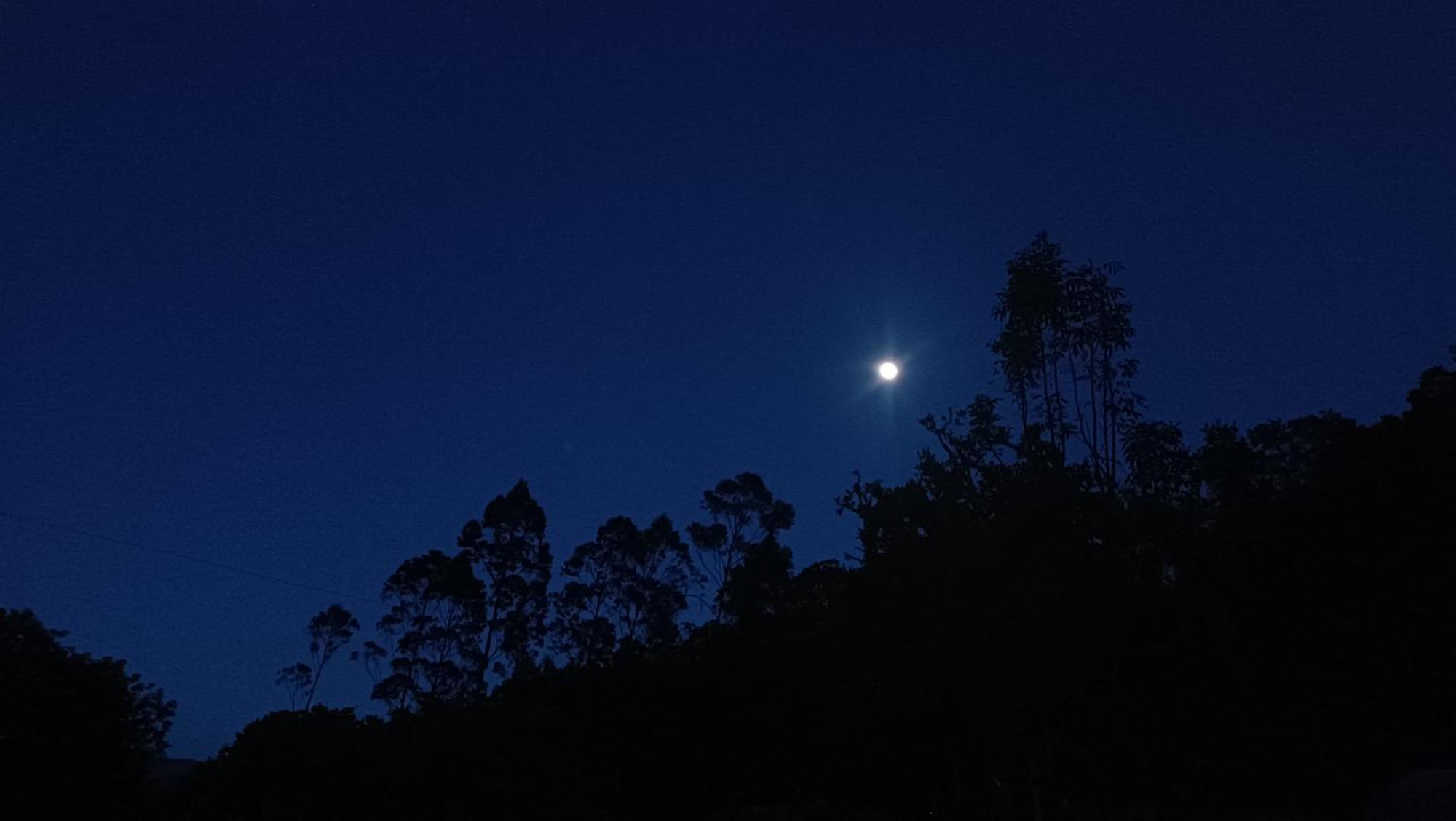 Al Aire Libre En Cundinamarca - Tiny House - Glamping Caelum